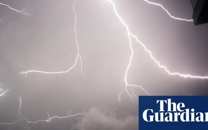 Poem of the Week: The Man in the Wind by Anne Stevenson | hair