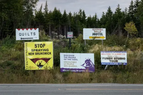 A group of roadside signs on a grassy highway shoulder, with one yelloew, red and black one reading: