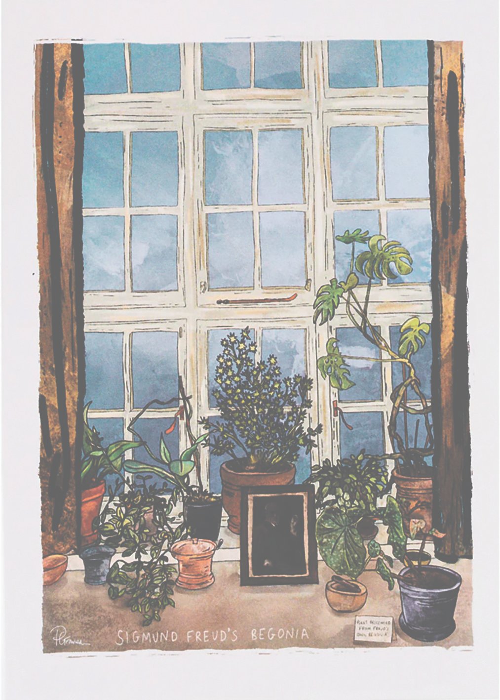 The begonia is depicted by Portia Graves