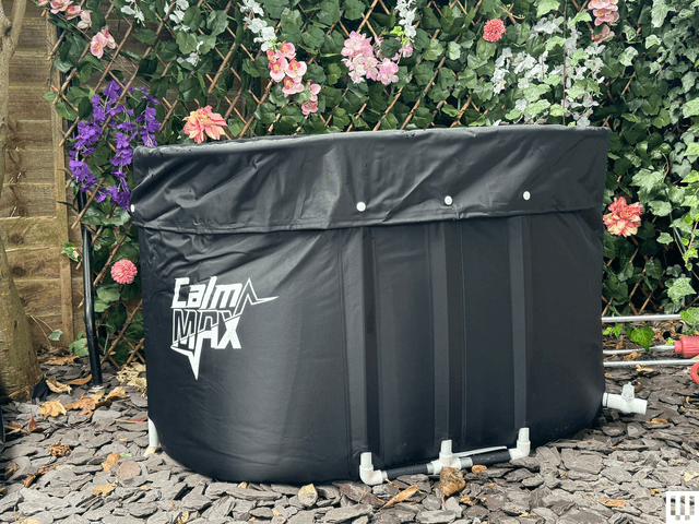 Image may contain: plant, in pot, bath and hot tub