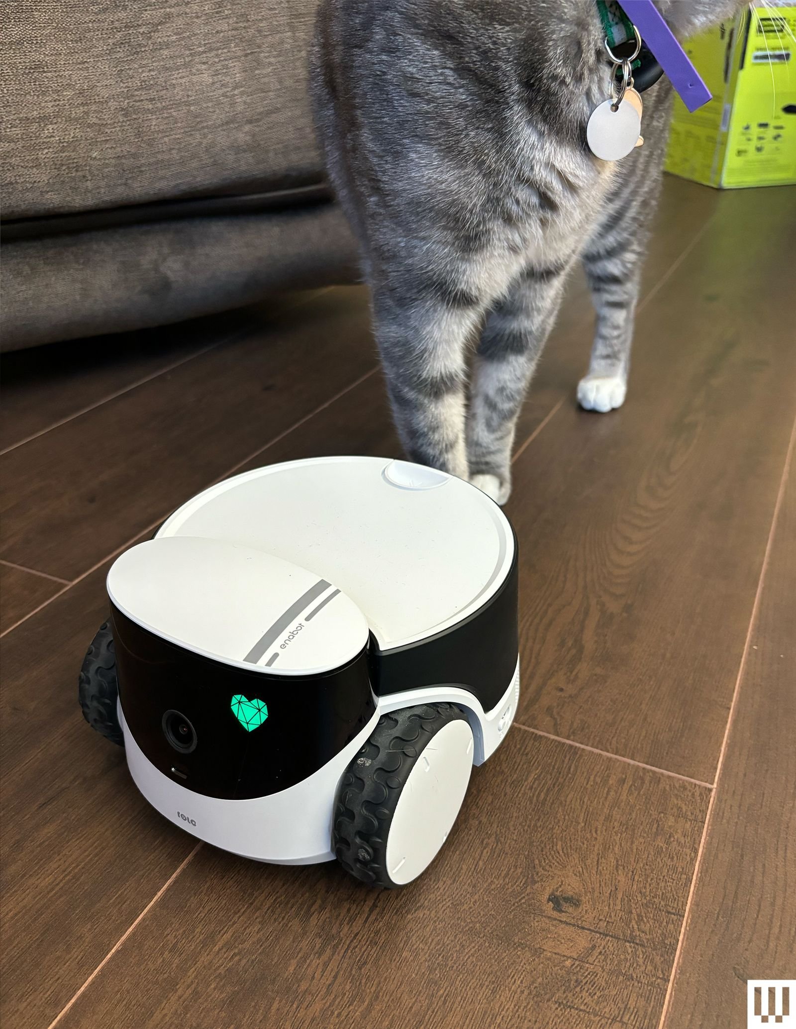 Inabot Rolla PetPal Robot Pet Companion