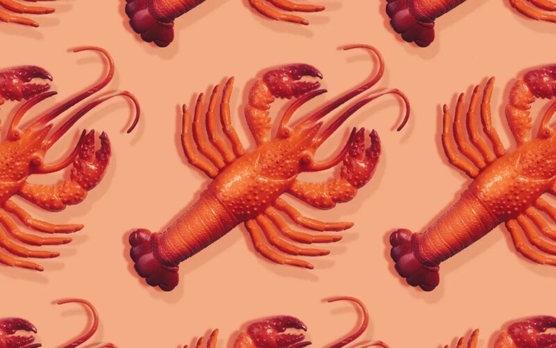 Everything you need to know about the viral personal AI assistant Clawdbot (now Moltbot)