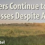 Significant Farm Losses Persist, Despite Federal Assistance | Market Intel