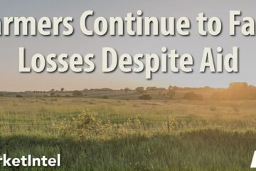 Significant Farm Losses Persist, Despite Federal Assistance | Market Intel