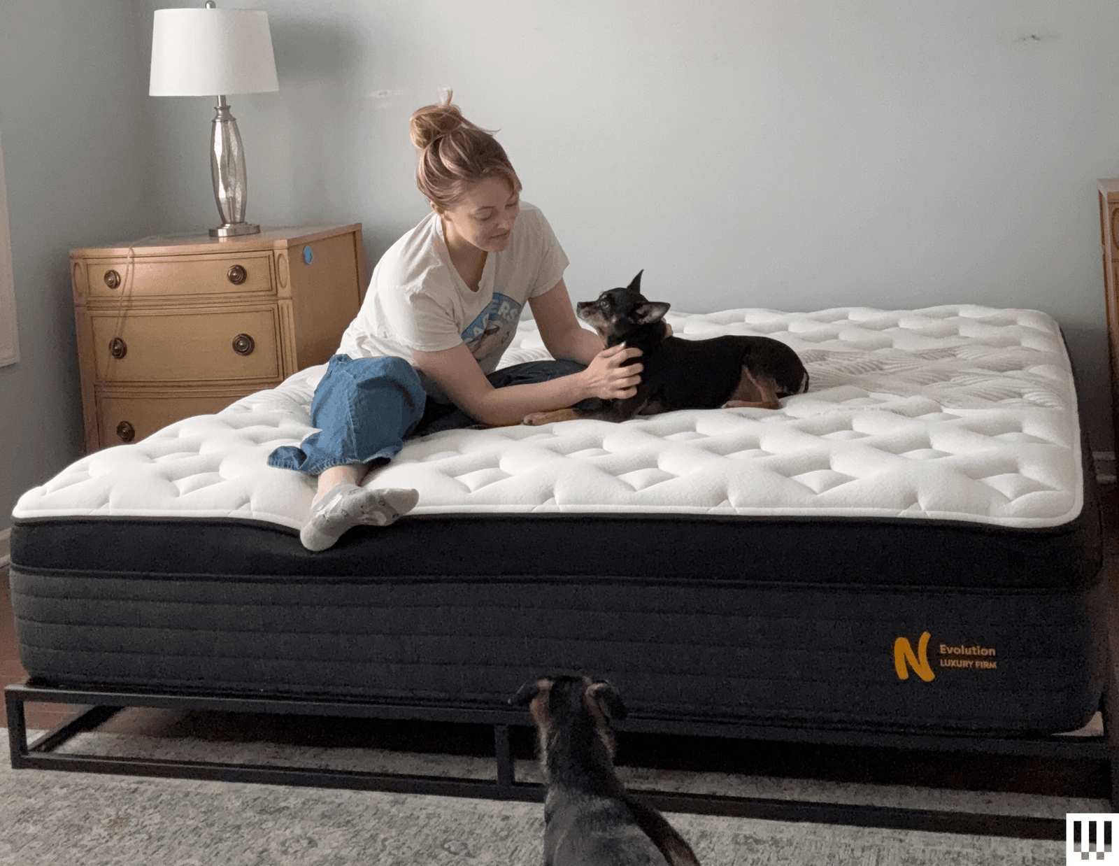 The image may contain furniture person animal dog dog mammal pet and bed