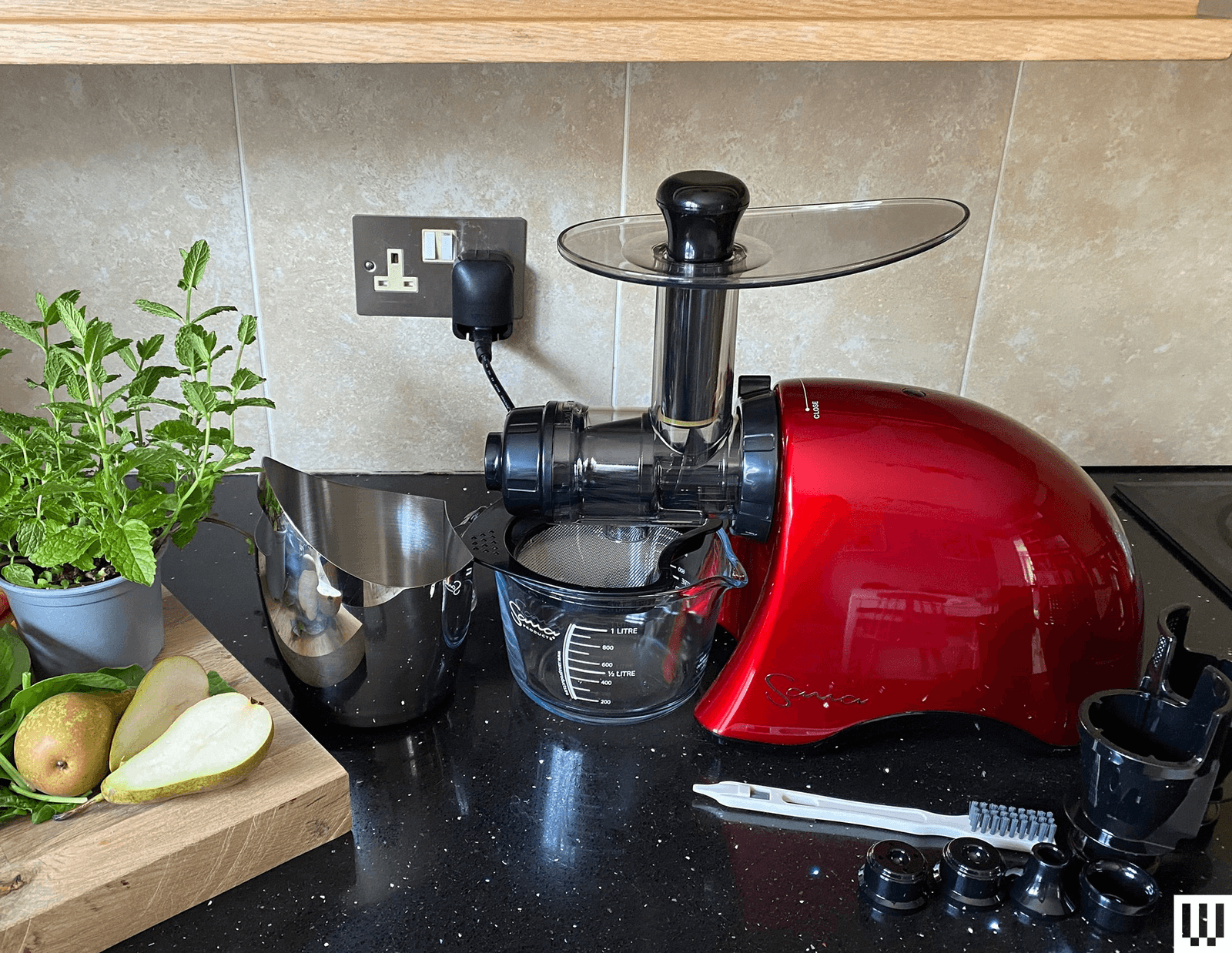 The image may contain a plant and cooking utensils