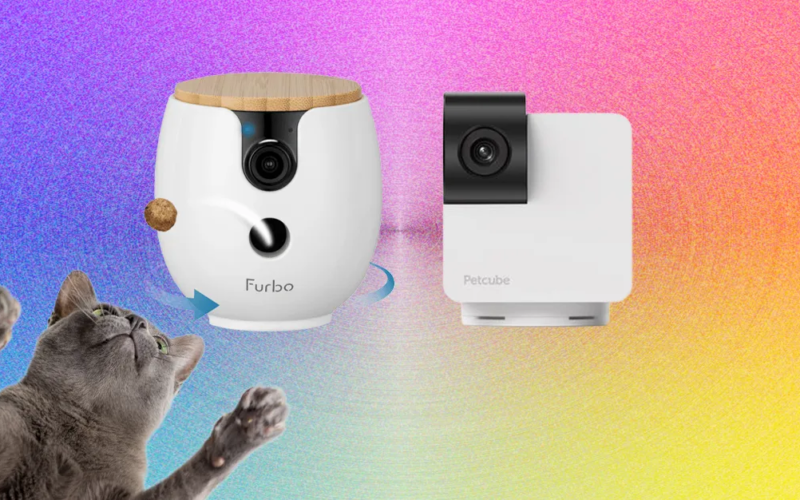 Top 10 Pet Cameras (2026), Tested with Our Pets