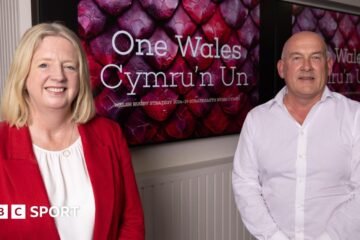 The Welsh Rugby Union has a “massive disconnect” from fans, MPs say