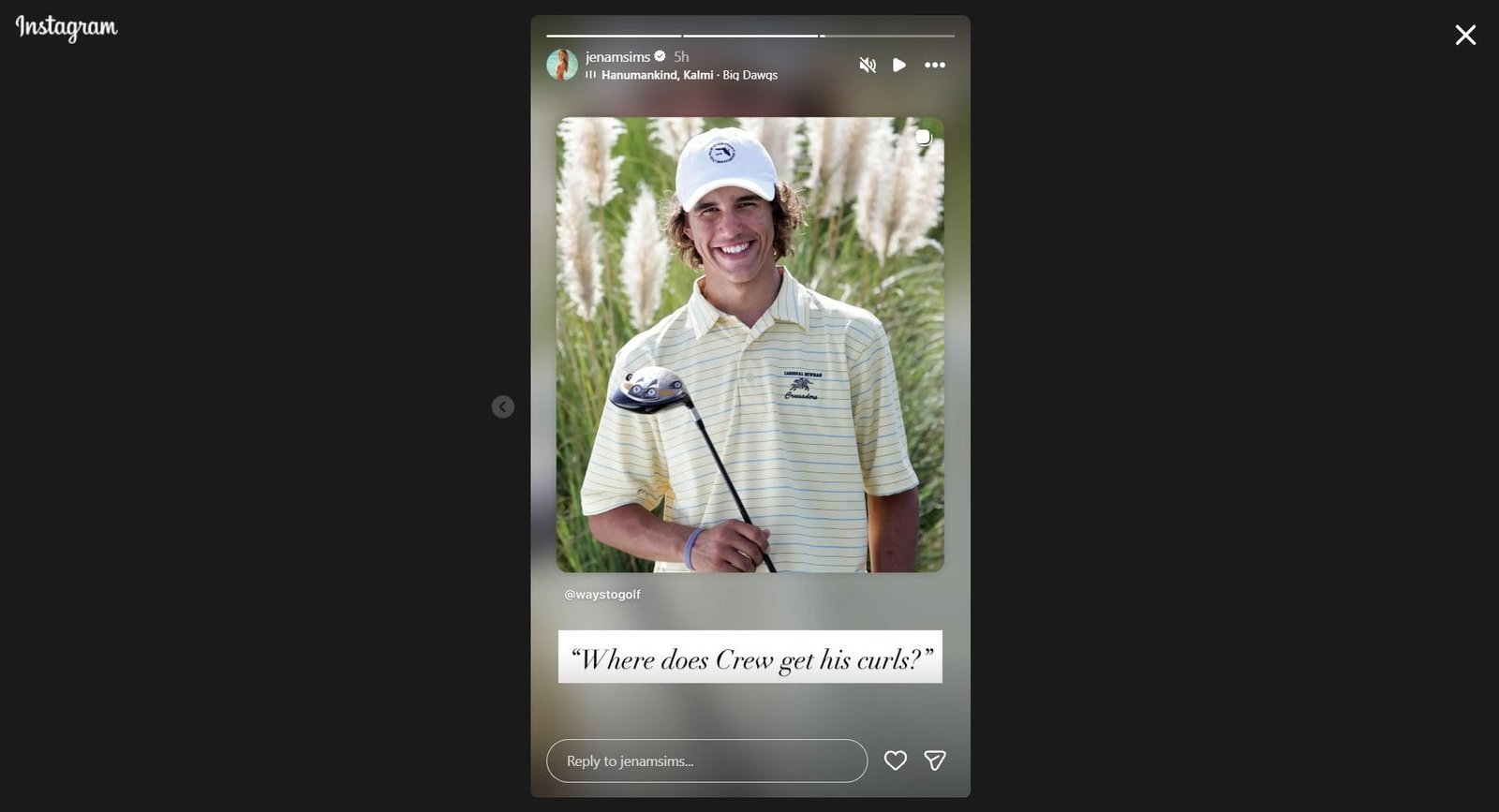 Still taken from Sims