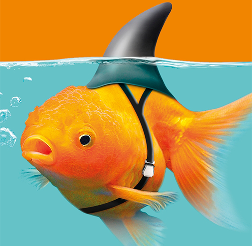 The relentless rule of my fitness tracker