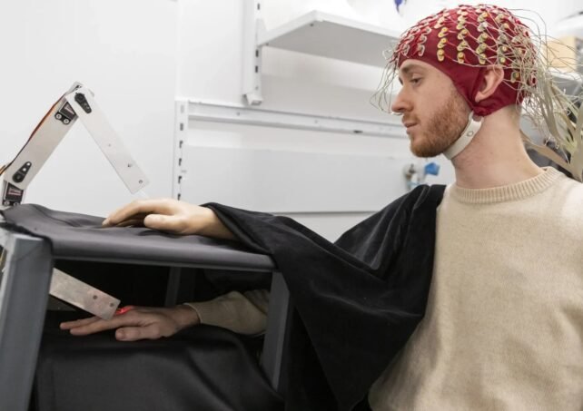 Scientists Identify Brain Waves That Drive Your Sense of What