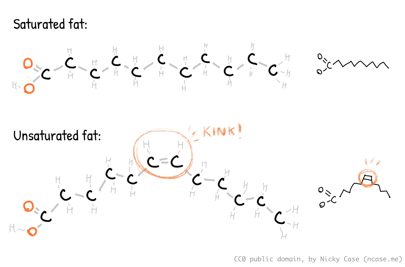 Diagram of saturated vs unsaturated fatty acid, details in main text.