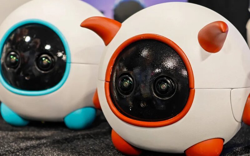 This robotic companion is your pet’s photographer