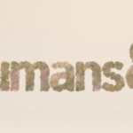 Humans&, a human-centric AI startup founded by Anthropic, xAI, and Google alums, has raised $480 million in a seed round