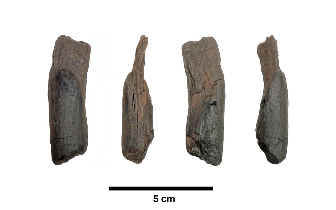 430,000-year-old well-preserved wooden tools are the oldest ever found