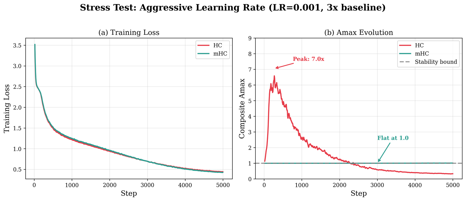Stress test under aggressive learning rate