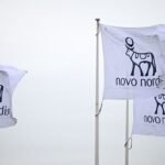 Novo Nordisk faces defining year in the obesity drug market