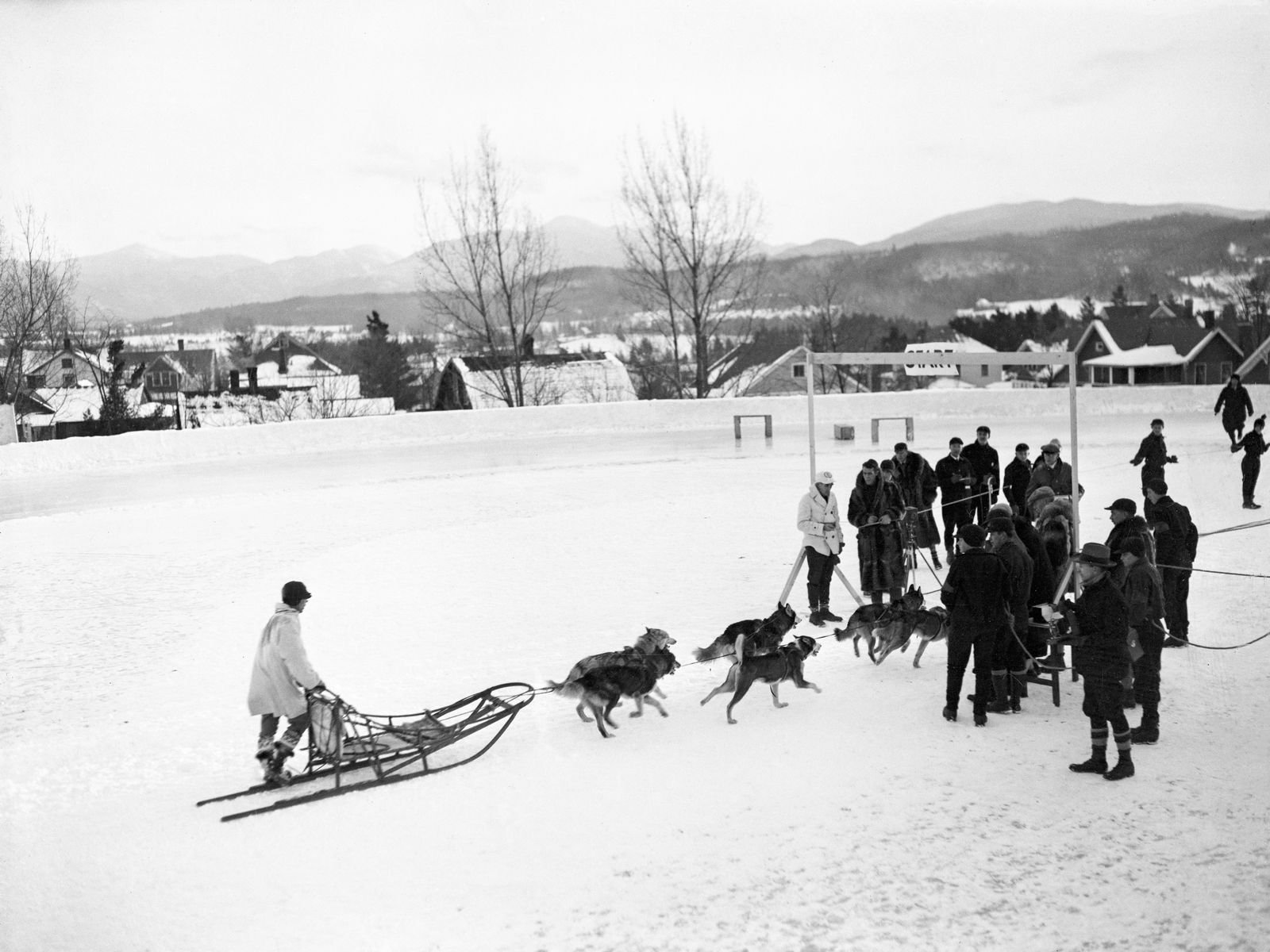 The image may contain nature outdoor person animal dog mammal snow pet dog sled dog clothes and glove