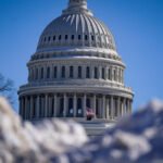 WATCH LIVE: The House takes a key procedural vote on government funding to end the partial shutdown