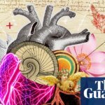 My cultural awakening: Leonardo da Vinci made me rethink surgery – I’ve since repaired over 3,000 hearts | Leonardo da Vinci