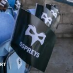 Ospreys: “We were told they wouldn’t be there” – Swansea Board