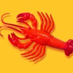 After all the hype, some AI experts don’t think OpenClaw is that exciting