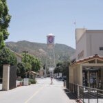 What do you know about the Warner Bros. auction? Historical Discovery