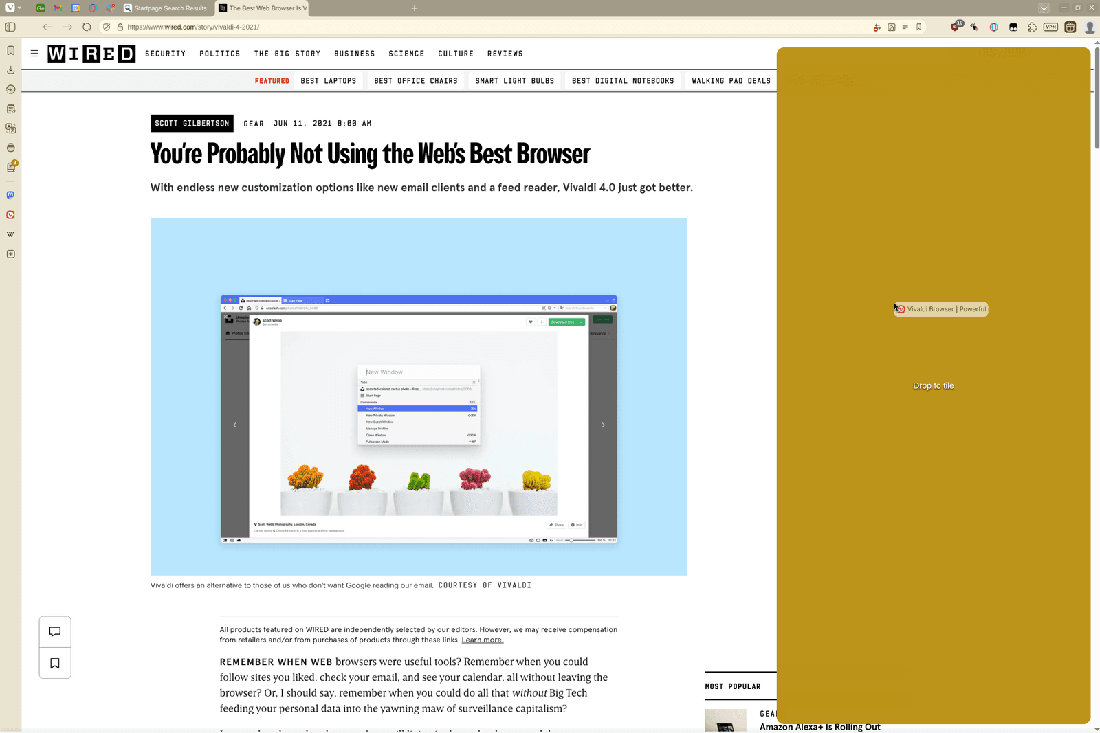 The image may contain a web page file, text, and a plant