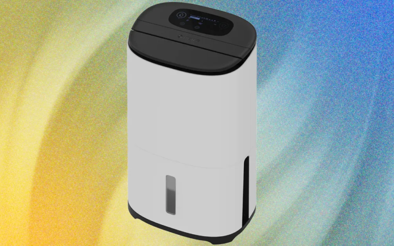 Why is a dehumidifier one of my favorite tools?