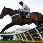 Constitution Hill: Champion steeplechase to pursue a career in flat racing