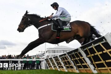Constitution Hill: Champion steeplechase to pursue a career in flat racing