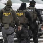 FIFA World Cup: ICE will be an ‘essential part of security’ in the US