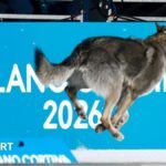 Winter Olympics 2026: Penile injections, cheating biathletes and rowers – stories we didn’t expect to tell