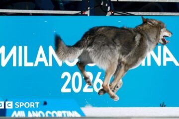 Winter Olympics 2026: Penile injections, cheating biathletes and rowers – stories we didn’t expect to tell