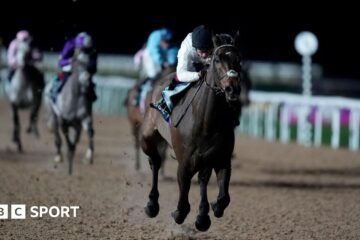 Constitution Hill: The former Champion Hurdle winner shines when turning to the Flat