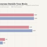 You are not (just) your brain