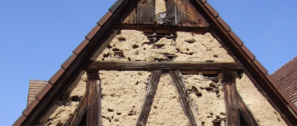 Stare through my flesh, and look upon my bones.