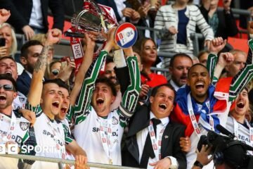 Championship qualifiers: English Premier League clubs vote in favor of holding a six-team playoff