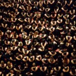 Elite overproduction – Wikipedia