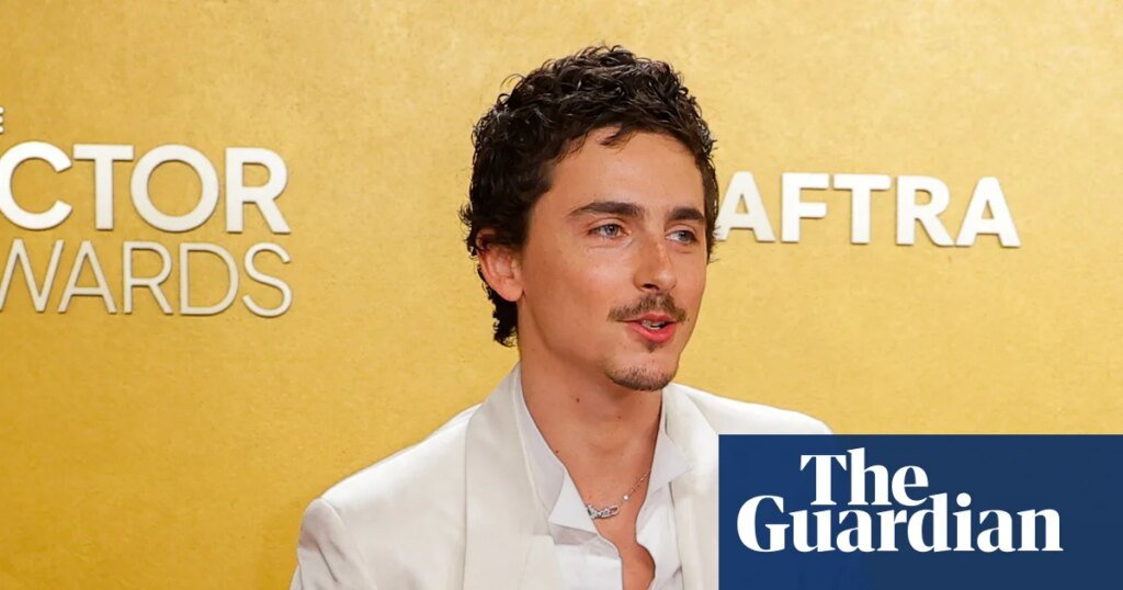 And Toto, Timothy? Backlash mounts over Chalamet Snaps at opera and ballet | Timothée Chalamet