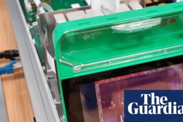 A petri dish of human brain cells currently powers the game Doom. Should we be worried? | games