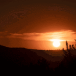 Grief and the AI Split