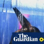 Bushra Review – The Wolf Who Wears Prada is the anti-identity alter ego in the film that charts the queer experience | film