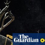 Siegfried Review – An invigorating and enchanting staging, with vacant brilliance as Wagner’s hero | Opera