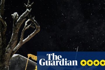 Siegfried Review – An invigorating and enchanting staging, with vacant brilliance as Wagner’s hero | Opera