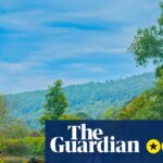 Wild Swimmers Review – Low-budget ragtag horror movie finds something to worry about in the water | film