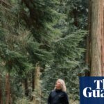 When the Forest Breathes Review by Susan Simard – Indiana Jones’ Trees Return | Science and nature books