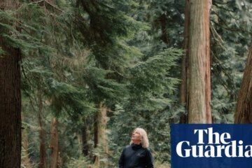 When the Forest Breathes Review by Susan Simard – Indiana Jones’ Trees Return | Science and nature books