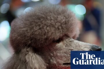 TV Tonight: Crufts with Claudia Winkleman and Claire Balding | TV and radio