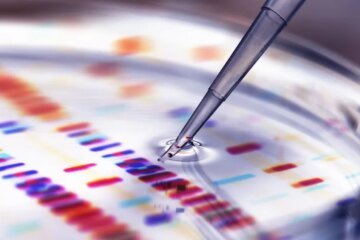 Why can’t scientists laugh?